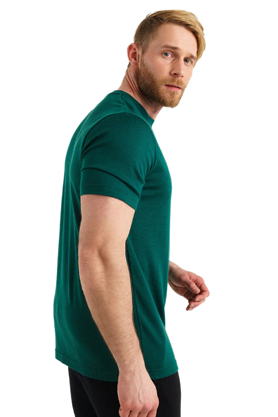 Men's Merino T-shirt 180 Rainforest Green