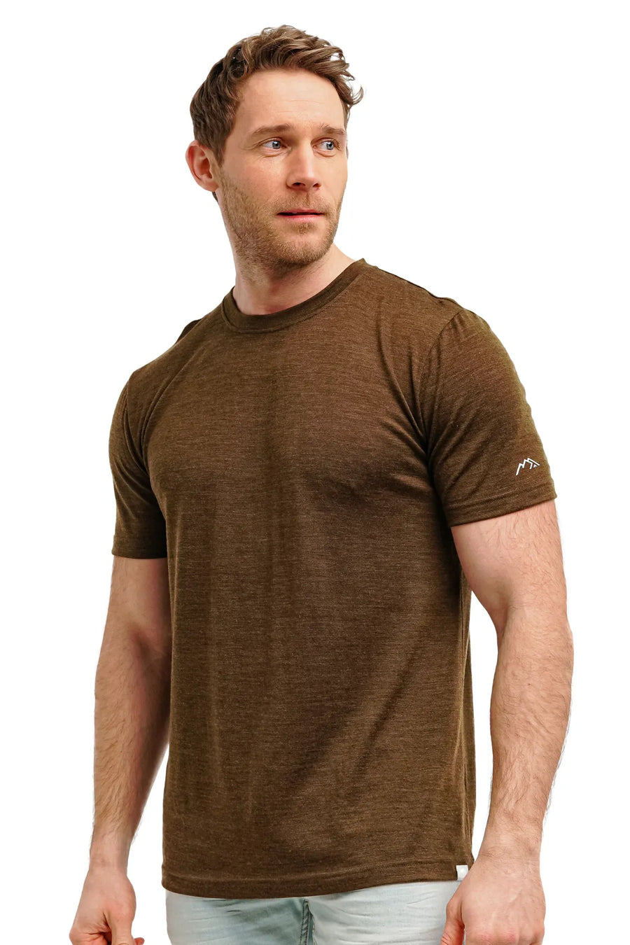 Men's Merino T-shirt 180 Turtle Green