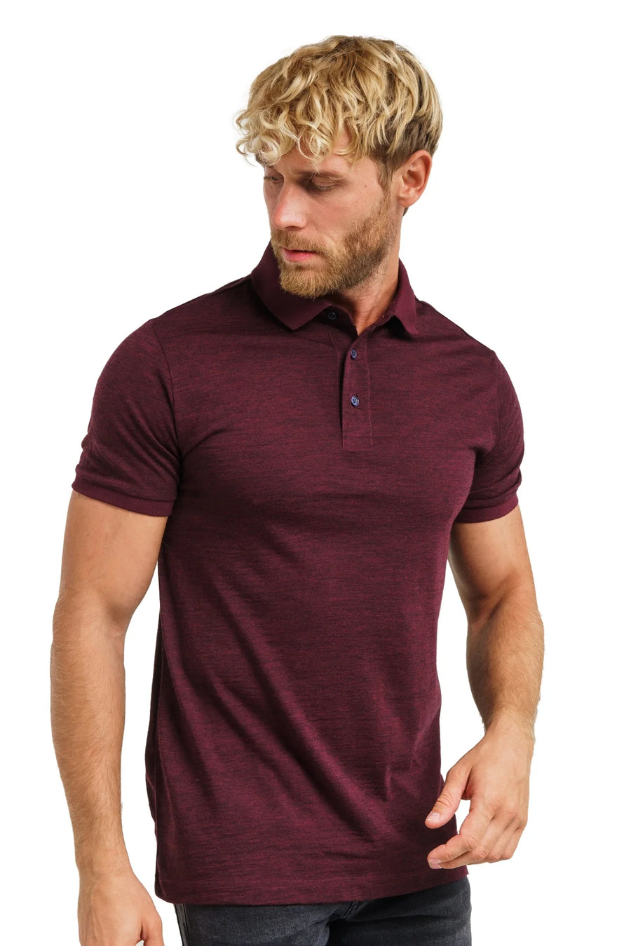 Men's Merino Polo 180 Maroon