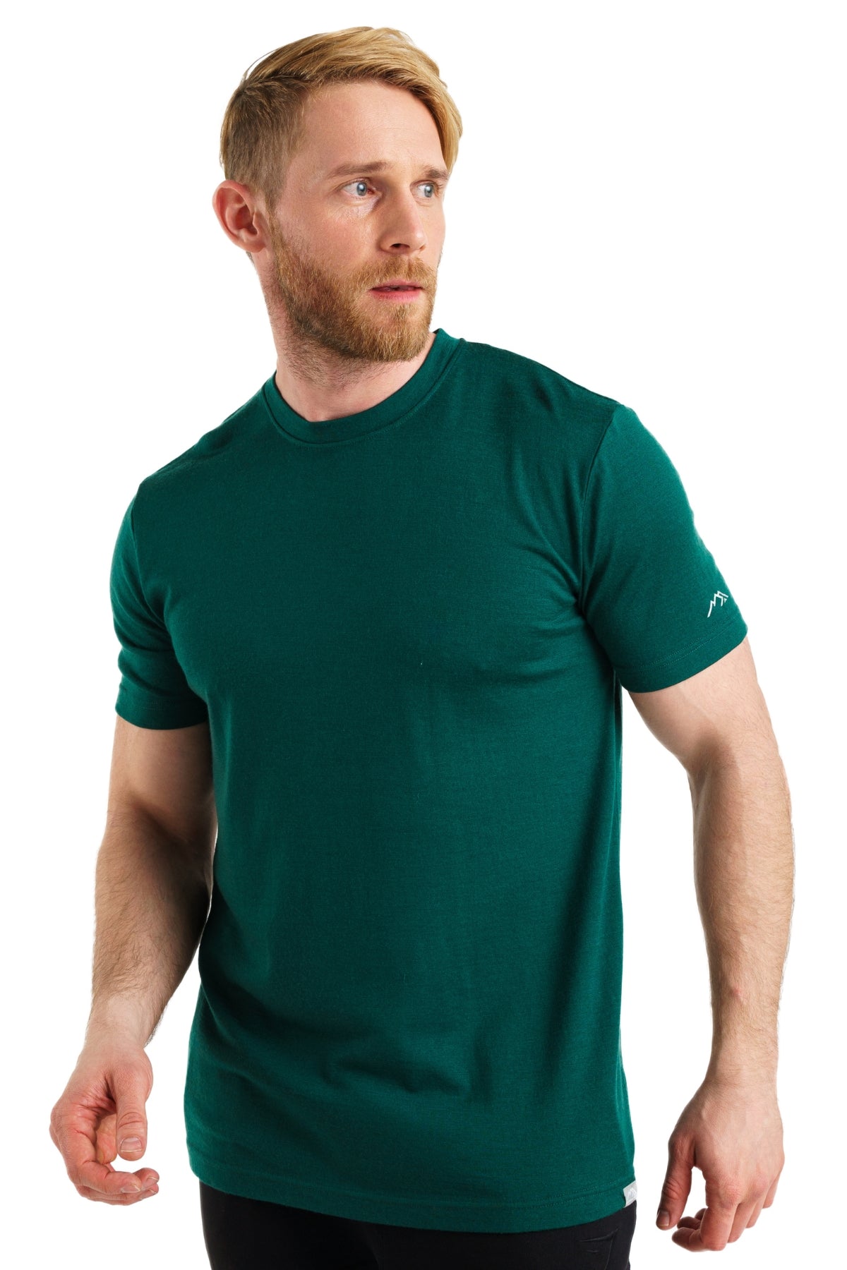 Men's Merino T-shirt 180 Emerald Green (+socks)