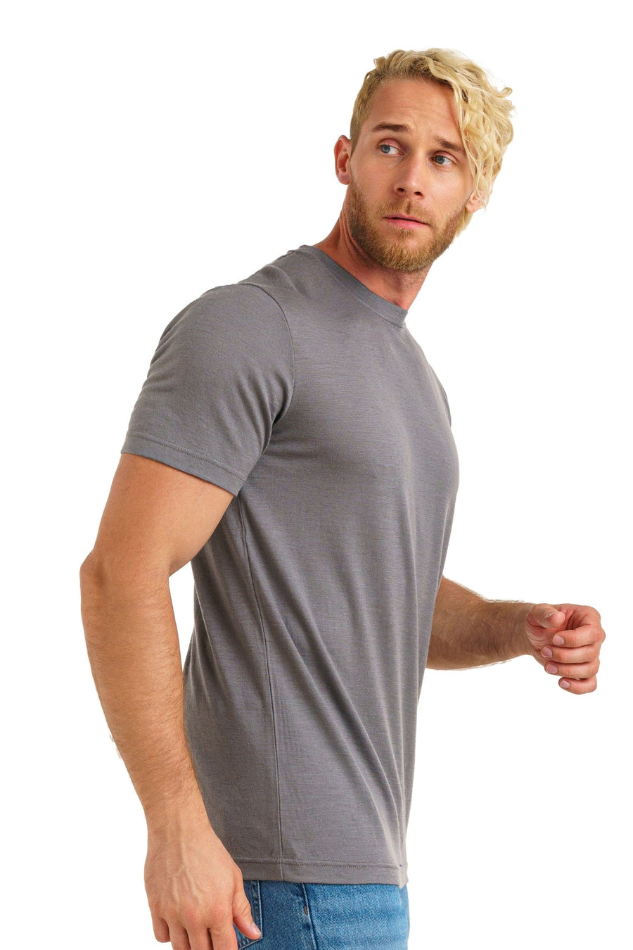 Men's Merino T-shirt 180 Perfect Gray (+socks)