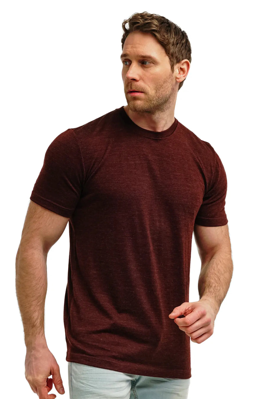 Men's Merino T-shirt 180 Bordo Melange