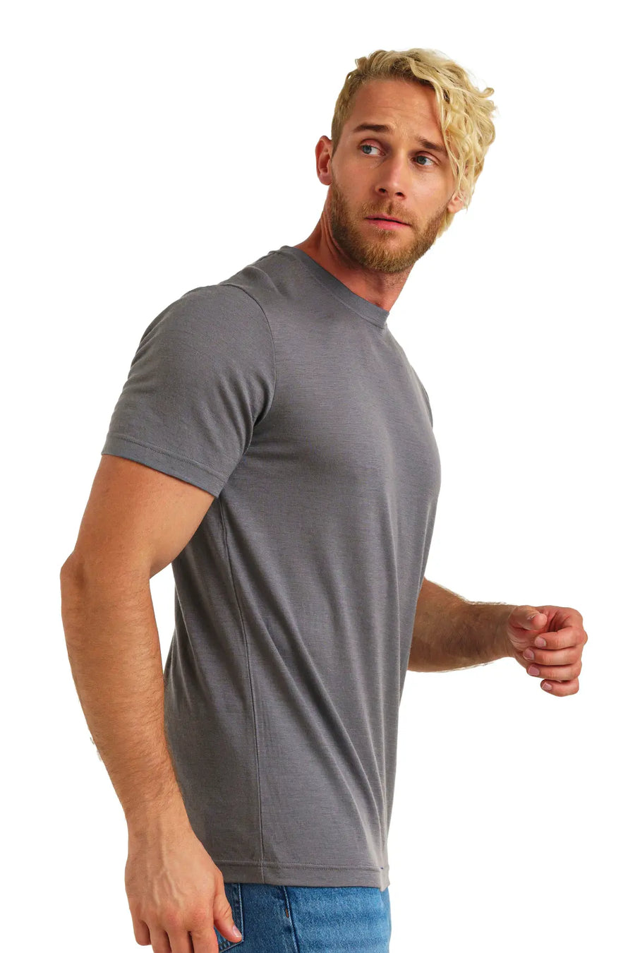 Men's Merino T-shirt 180 Perfect Grey