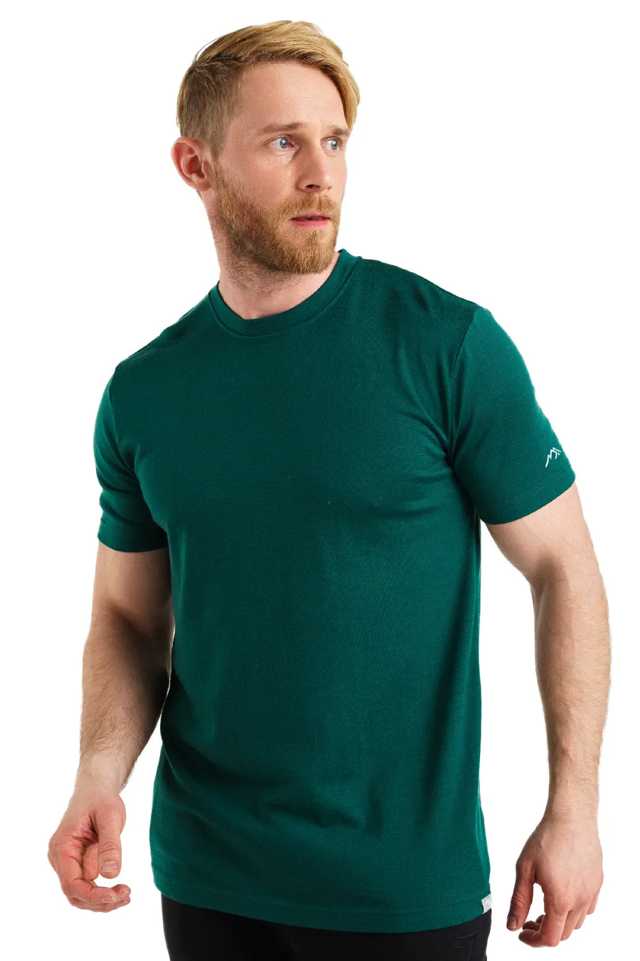 Men's Merino T-shirt 180 Rainforest Green